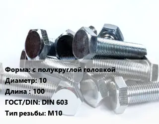 Болт с полукруглой головкой 10х100 DIN 603 М10